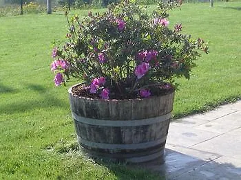 Casa A Pedrina Semesterbostad Amés